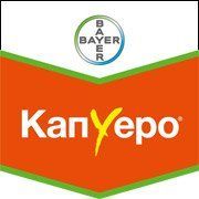 Капуеро