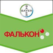 Фалькон