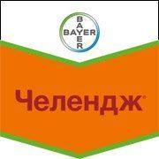 Челендж