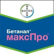 Бетанал МаксПро о.д.