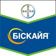 Бискайя 240 о.д.