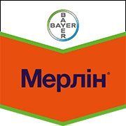 Мерлин в.г.