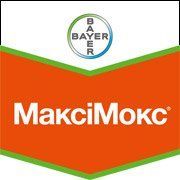 Максимокс