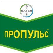 Пропульс 250 SE, CE