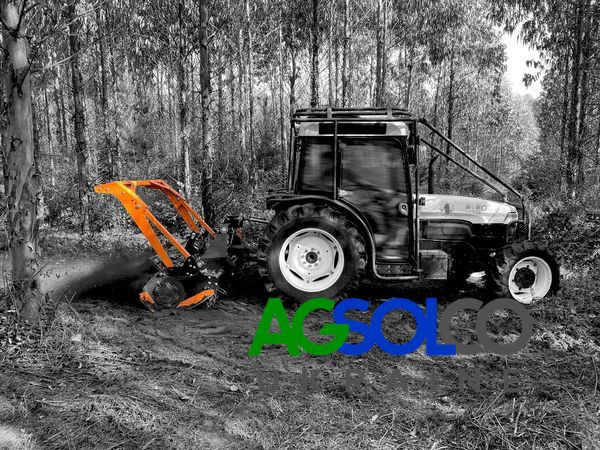 Мульчер для леса Cancela серії TFJ для тракторов 60-90лс