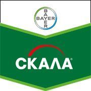 Скала 400 к.с.