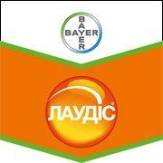 Лаудис